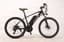 KiwieBike Electric Bike M1 29" LG